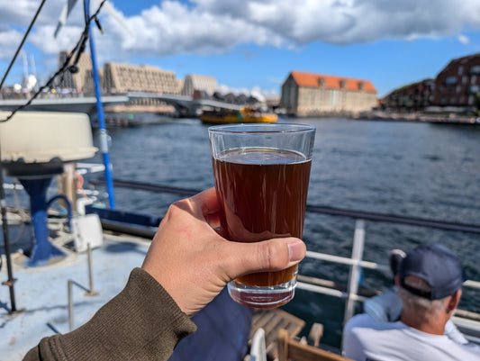 Copenhagen's Best Summer Beer Bars